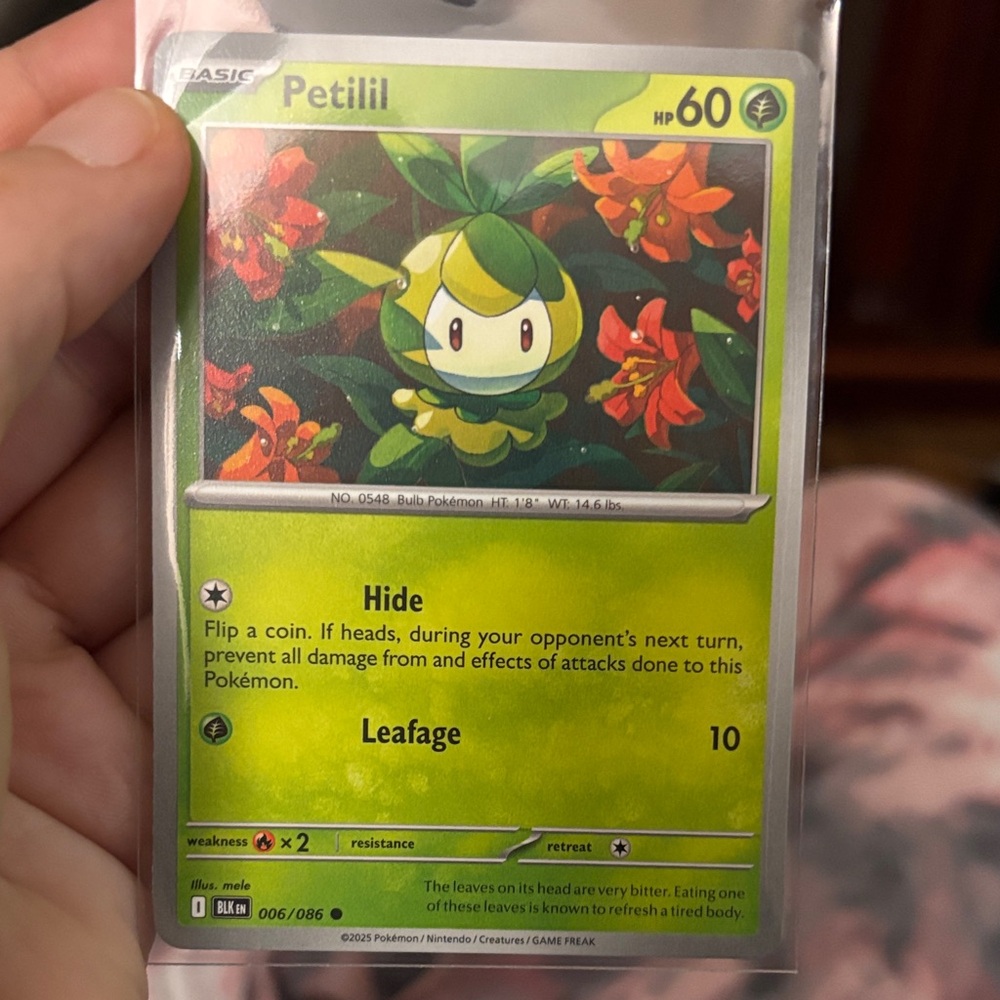 Pokémon Petilil Card with Green and Red Accents